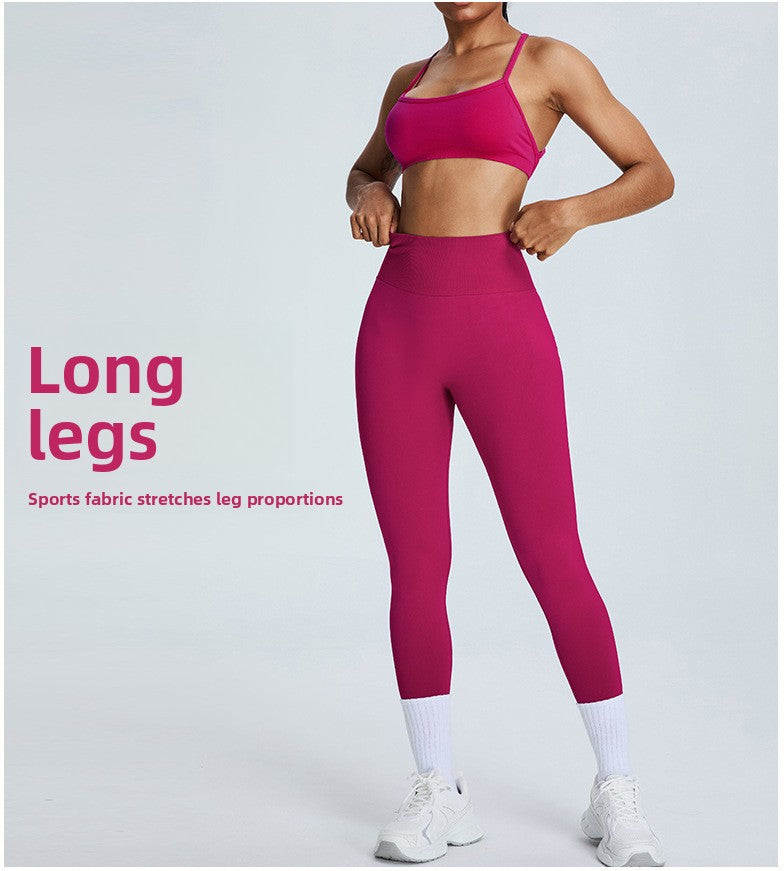 88b9faa8-af64-491c-9ca0-6028a49c33b4