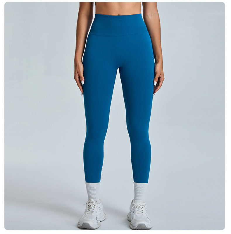 1abb313f-1e30-45ce-92d6-fa409e1df361